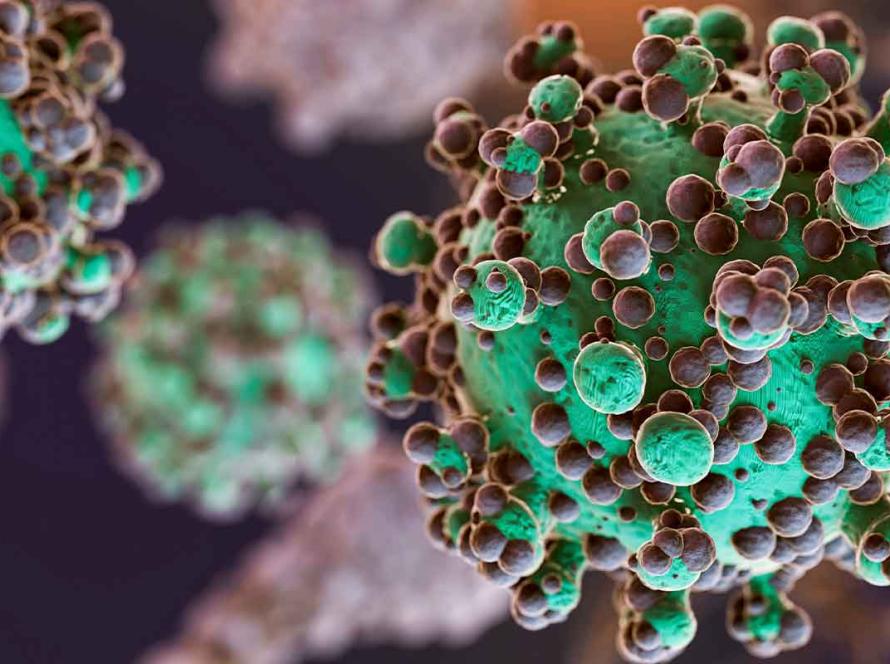 Biofilm Uv Detection A Game Changer For Pharmaceuticals