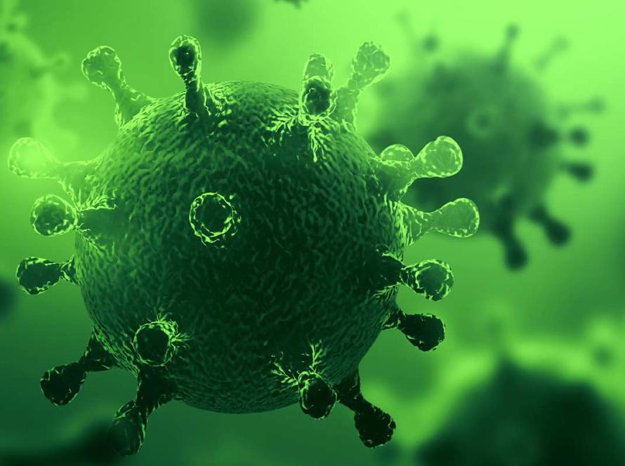 Biofilm Detection by BioDtex UV Lamp