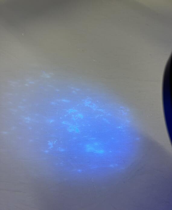 0568a9f6 1ed2 40f3 B6ba 4232216b2368